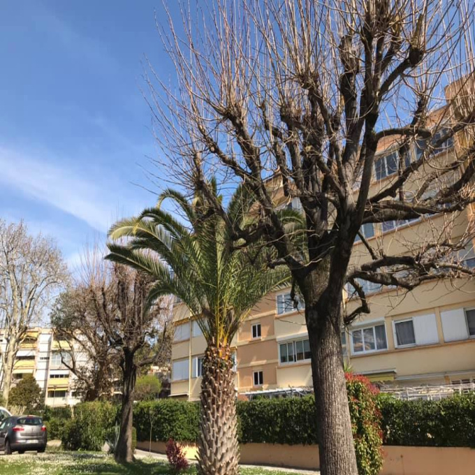 Offres de vente Appartement Mandelieu-la-Napoule (06210)